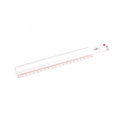 Règle de lecture grossissante