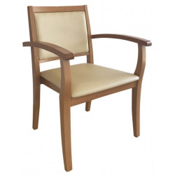 Chaise avec accoudoirs LIZA dossier bas