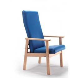 Fauteuil de salon ACOMODO